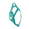 Arnes basic aguamarina 15mm