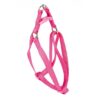 Arnes basic fucsia 20mm
