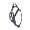 Arnes basic negro 10mm