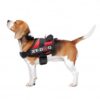 Arnes de seguridad XT-dog-s rojo