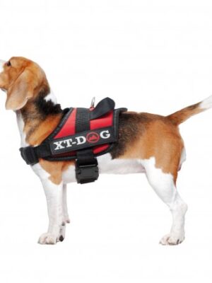 Arnes de seguridad XT-dog-s rojo