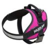 Arnes julius k9 fucsia