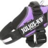 Arnes julius lila talla 1