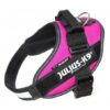 Arnes julius talla 1 fucsia