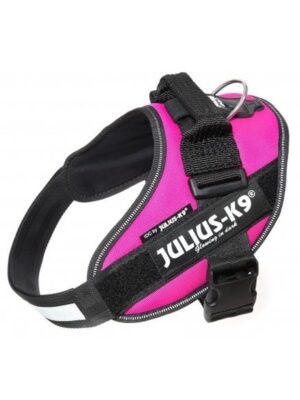 Arnes julius talla 1 fucsia