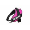 Arnes julius talla 2 fucsia