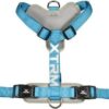 Arnes x-trm cronos neon flash azul 20mm