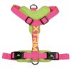 Arnes x-trm cronos neon flash fucsia 15mm