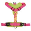 Arnes x-trm cronos neon flash fucsia 25mm