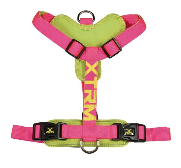 Arnes x-trm cronos neon flash fucsia 25mm