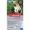 Avantix perro de mas de 25 hasta 40 k