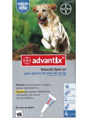 Avantix perro de mas de 25 hasta 40 k