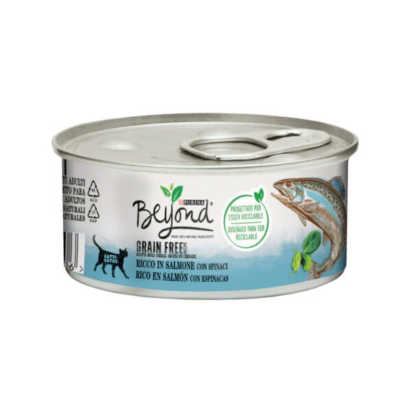 Beyond grain free gato mousse salmon 85gr