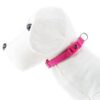 Collar basic fucsia 15mm