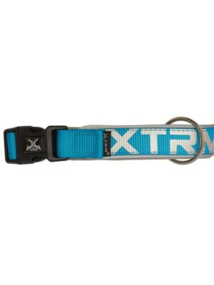 Collar x-trm neon flash azul 20mm