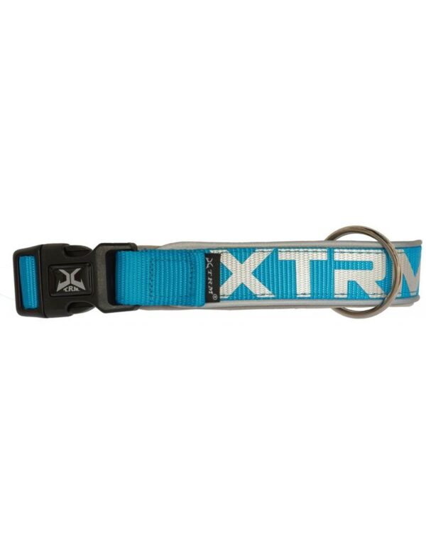 Collar x-trm neon flash azul 20mm