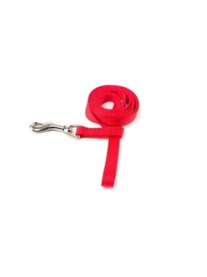 Correa basic roja 20mm