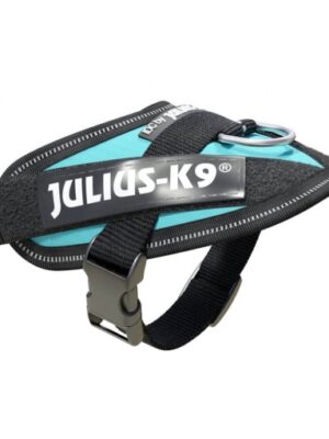 Julius arnes talla baby azul