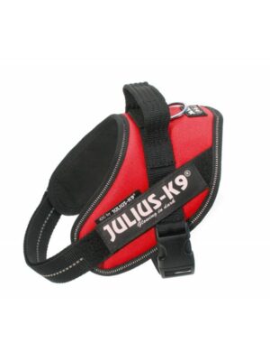Julius k9 mini mini rojo