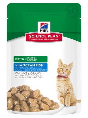 Pouch gatos hill kitten ocean fish