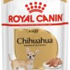 Royal canin comida humeda chiuahua 85gr