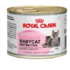 Royal canin comida humeda mother & baby cat 195gr