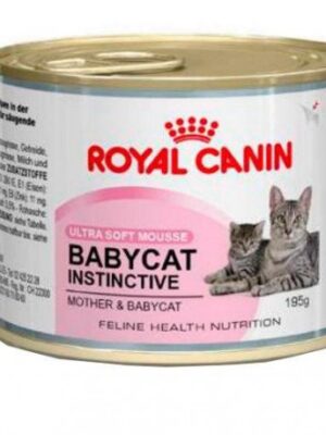 Royal canin comida humeda mother & baby cat 195gr