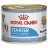 Royal canin starter perros 195gr