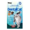 Twenty dentalcat