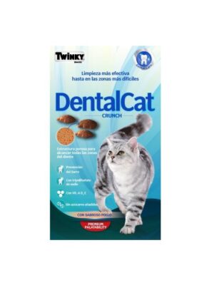 Twenty dentalcat