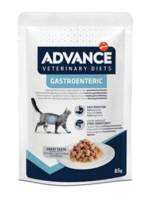 Advance gastroenteric pouch