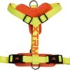 Arnes x-trm cronos flash limon 25mm