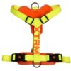 Arnes x-trm cronos neon flash limon 20mm
