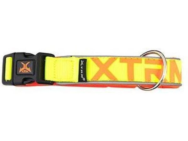 Collar x-trm neon flash naranja 20mm