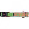 Collar x-trm neon flash verde 15mm