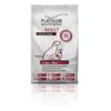 Dingo platinium lamb & rice 1 5k