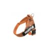 Julius k9 arnes cinta color naranja mini