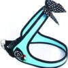 Arnes lazo lunares talla 1