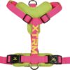 Arnes x-trm cronos neon flash fucsia 20mm