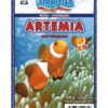 Artemia