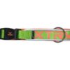 Collar x-trm neon flash verde 25mm x 45-55cm