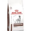 Royal canin gastrointestinal low fat 6 kilos