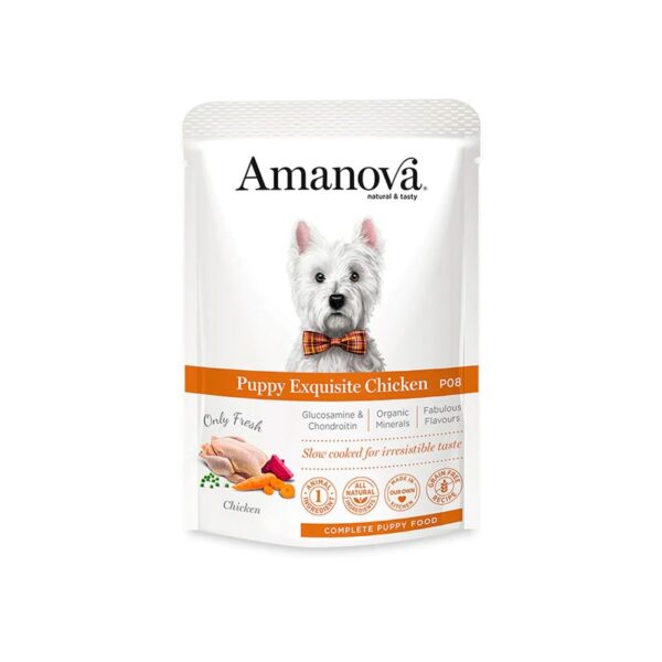 Amanova humedo puppy pollo exquisito 100gr