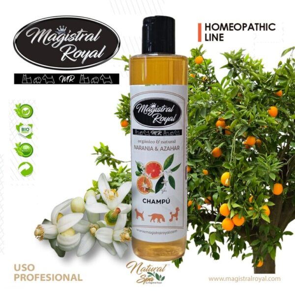 Magistral Royal champú naranja 250ml