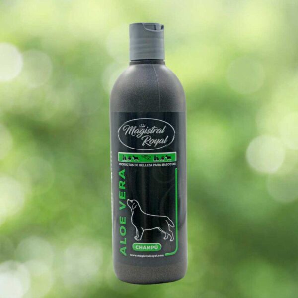 Magistral royal champú aloe vera 500ml