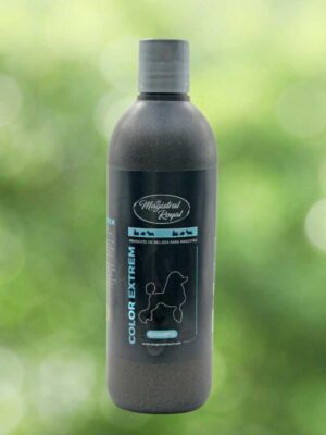 Magistral royal champú color extreme 500ml
