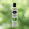 Magistral royal champu romero y mentol 250ml