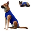 Camiseta recuperacion talla S