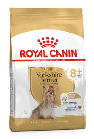 Royal-canin-yorkshire-ageinig-1.5-kilos.jpg Royal canin yorkshire ageinig 1 5 kilos