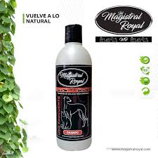 Magistral-royal-cahmpu-uso-frecuente-500ml.jpg Magistral royal cahmpu uso frecuente 500ml